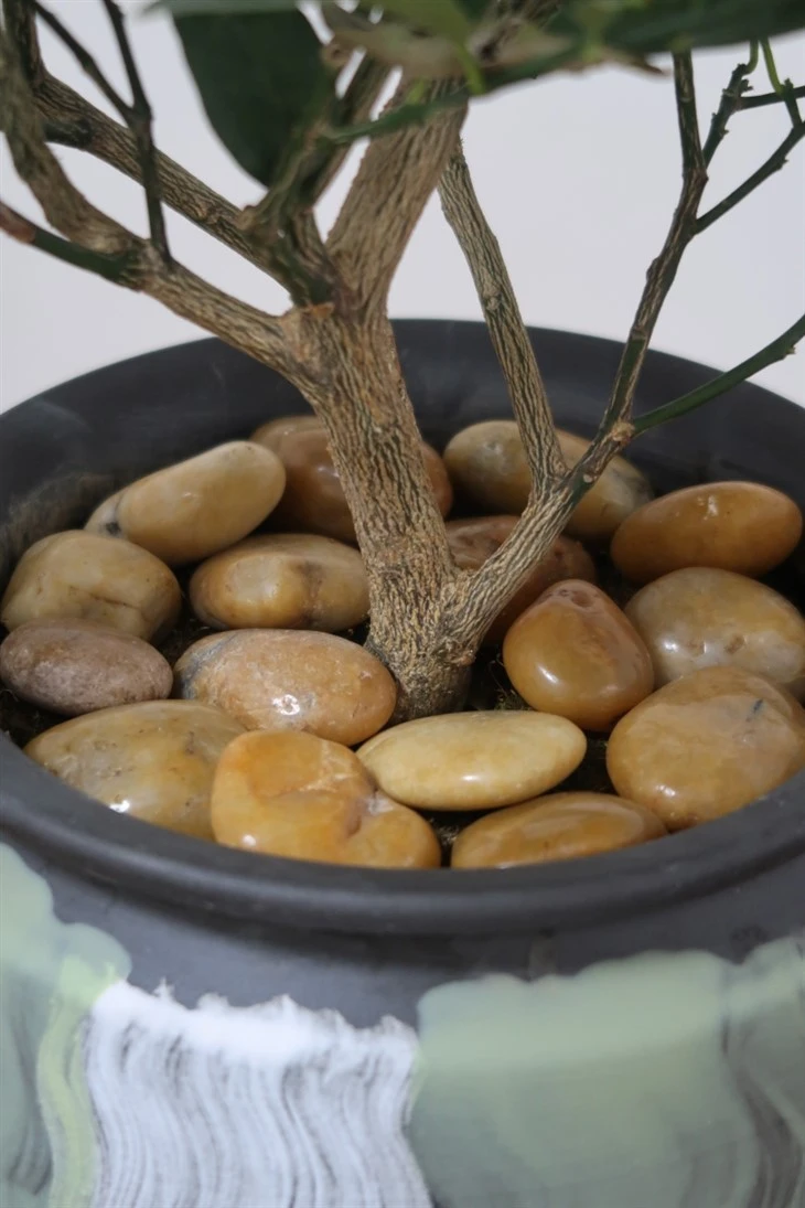 Pebble Stones Stepping Stones price