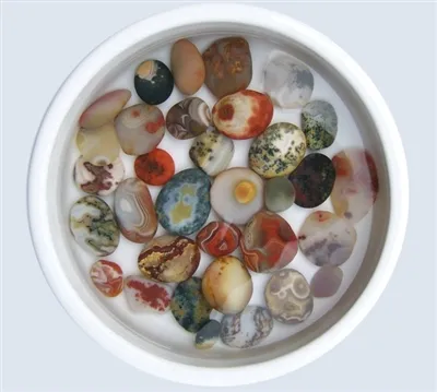 فطرت کا ابدی تحفہ