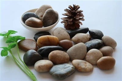 باغ کے زمین کی تزئین کا فیلڈ {{0} natural قدرتی جمالیات کا خوبصورت اظہار